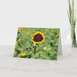 Tarjeta The Perfect Sunflower - Happy Greeting Card