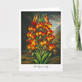 Tarjeta The Superb Lily — Modern Botanical Reinterpretatio
