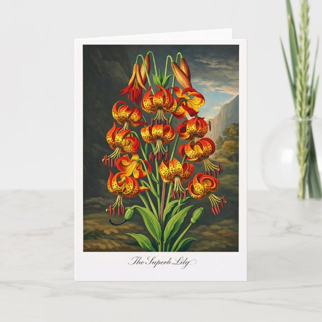 Tarjeta The Superb Lily — Modern Botanical Reinterpretatio (Anverso)
