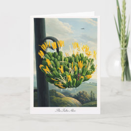 Tarjeta The Tube Aloe — Modern Botanical Reinterpretation
