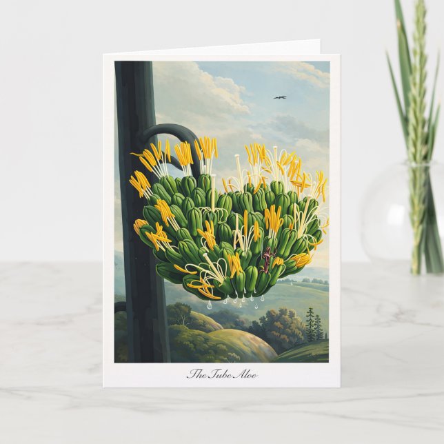 Tarjeta The Tube Aloe — Modern Botanical Reinterpretation (Anverso)