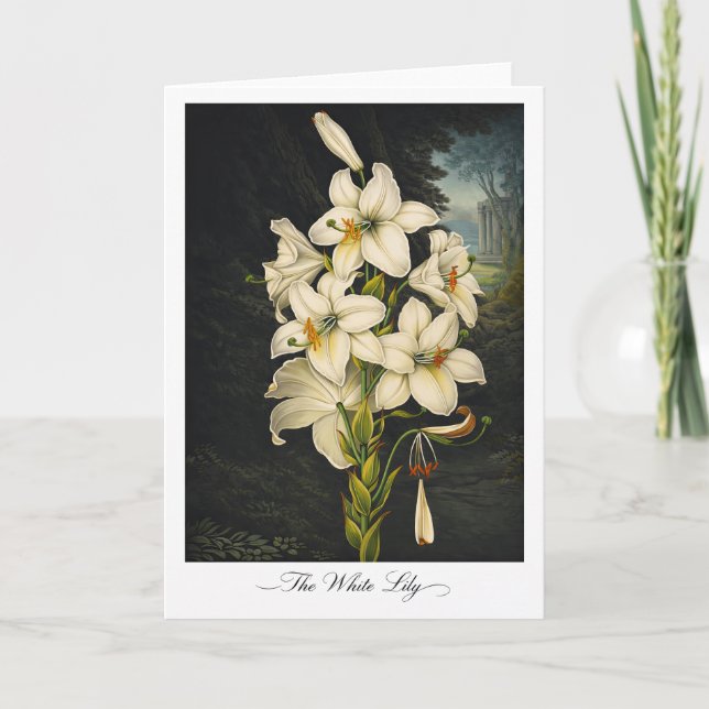 Tarjeta The White Lily — Modern Botanical Reinterpretation (Anverso)