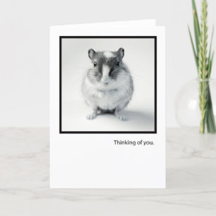 Tarjeta Thinking of You, Cute Mouse Photo Greeting