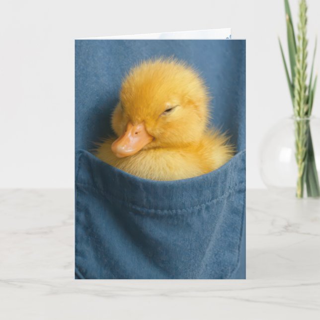 Tarjeta Thinking of You Duckling In a Blue T-shirt Pocket (Anverso)