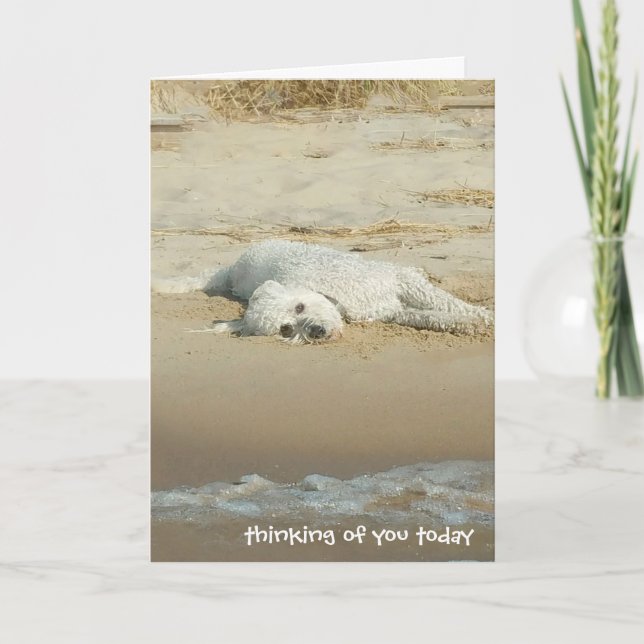 Tarjeta thinking of you-goldendoodle laying on beach (Anverso)