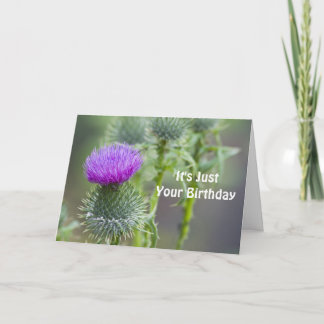 Tarjeta Thistle Birthday Card