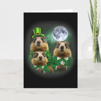 Tarjeta Three Groundhog Moon 3 Groundhog Day Head St Patri