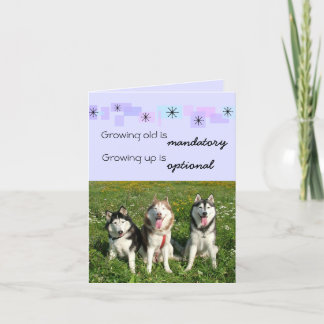 Tarjeta Three Huskies Birthday Card