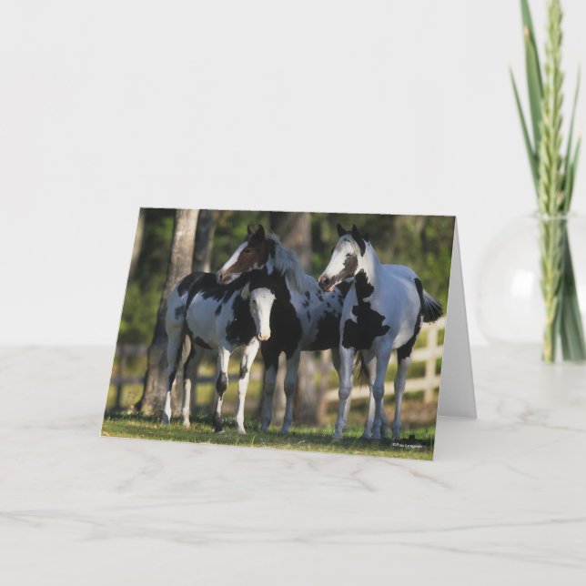 Tarjeta Three Paint Horses Standing Together (Anverso)