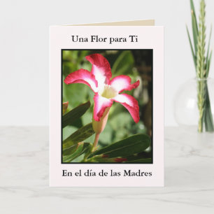 Tarjeta Ti de Dia de Las Madres Una Flor para