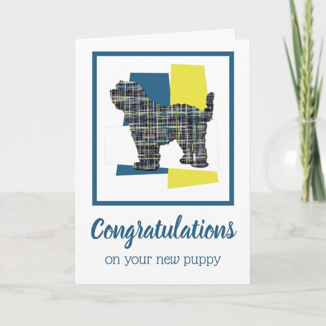 Tarjeta Tibetano Terrier Perro Cachorro Felicitaciones (Anverso)