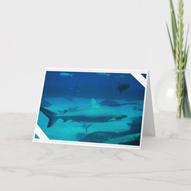 Tarjeta Tiburones (Anverso)