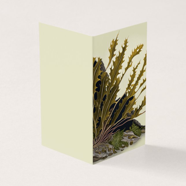Tarjeta Tidal Fronds (Exterior)