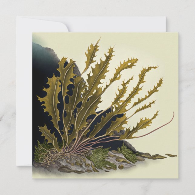 Tarjeta Tidal Fronds (Anverso)