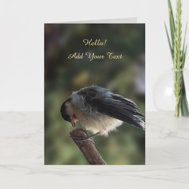 Tarjeta Tidi my Bird the Parus Major (Anverso)