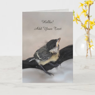 Tarjeta Tidi my Bird the Parus Major