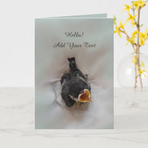 Tarjeta Tidi my Bird the Parus Major