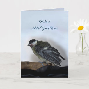 Tarjeta Tidi my Bird the Parus Major