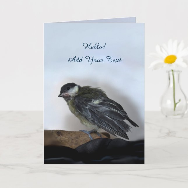 Tarjeta Tidi my Bird the Parus Major (Planta pequeña)