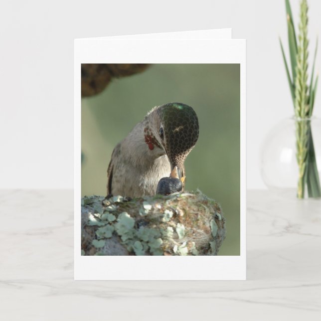 Tarjeta Tiempo de alimentación del colibrí (Anverso)