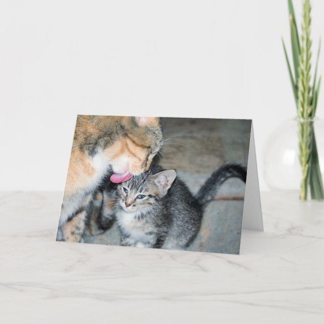 Tarjeta Tiempo de baño (Anverso)