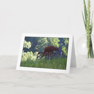 Tarjeta Tiempo de desayuno