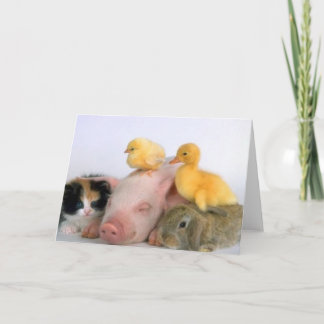 Tarjeta Tiempo de la siesta para los animales