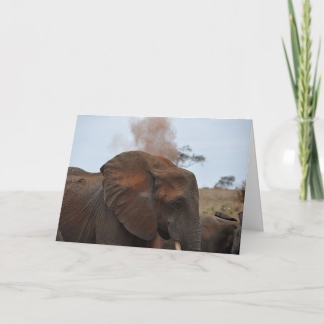 Tarjeta Tiempo del baño (Anverso)