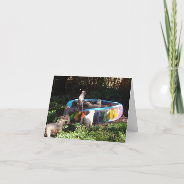 Tarjeta ¡Tiempo del fiesta! (Anverso)