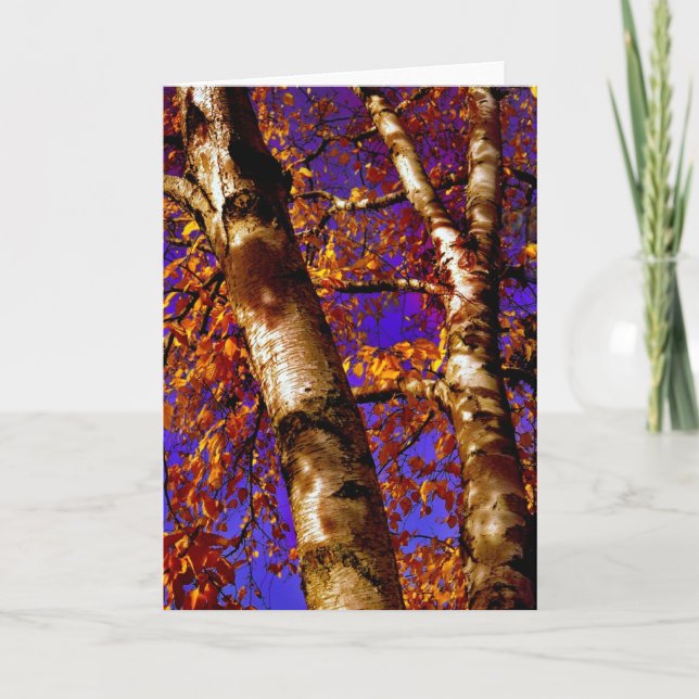 Tarjeta tiempo, otra vez (Anverso)