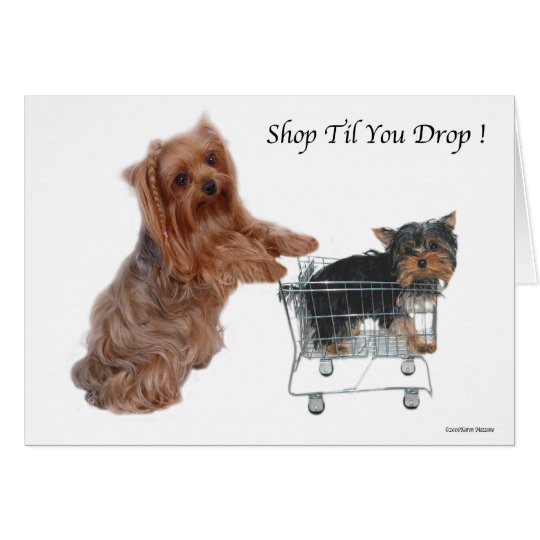 Tarjeta Tienda de Yorkie hasta que usted cae