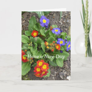 Tarjeta Tiene una bonita cama de flores mixtas