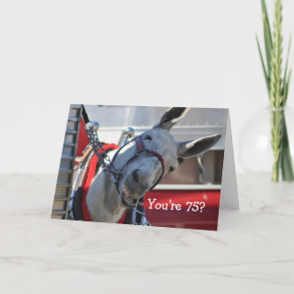 Tarjeta ¿Tienes 75 años? Cumpleaños!