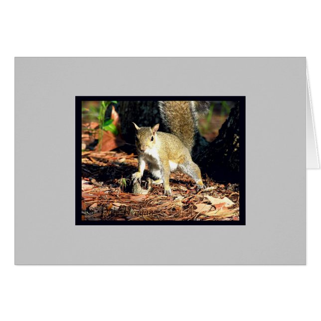 Tarjeta - ¿Tienes nueces? (Anverso (Horizontal))