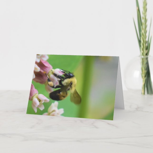 Tarjeta Tierra Verde (Anverso)