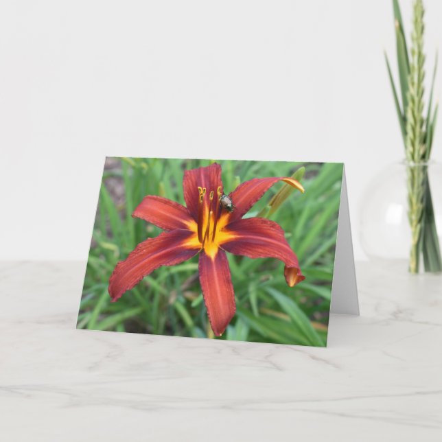 Tarjeta Tierra Verde (Anverso)