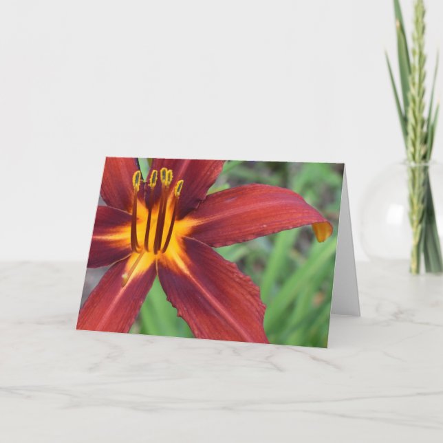 Tarjeta Tierra Verde (Anverso)