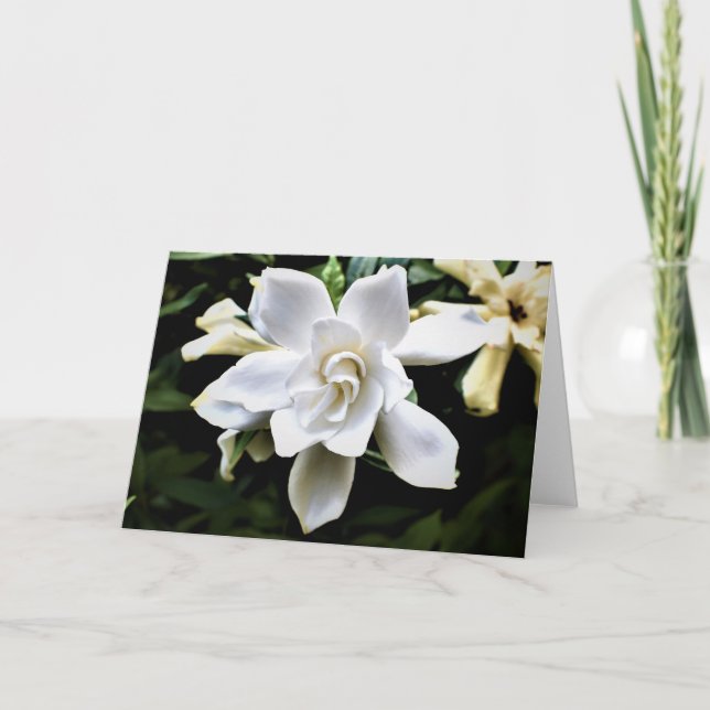 Tarjeta Tierra Verde (Anverso)