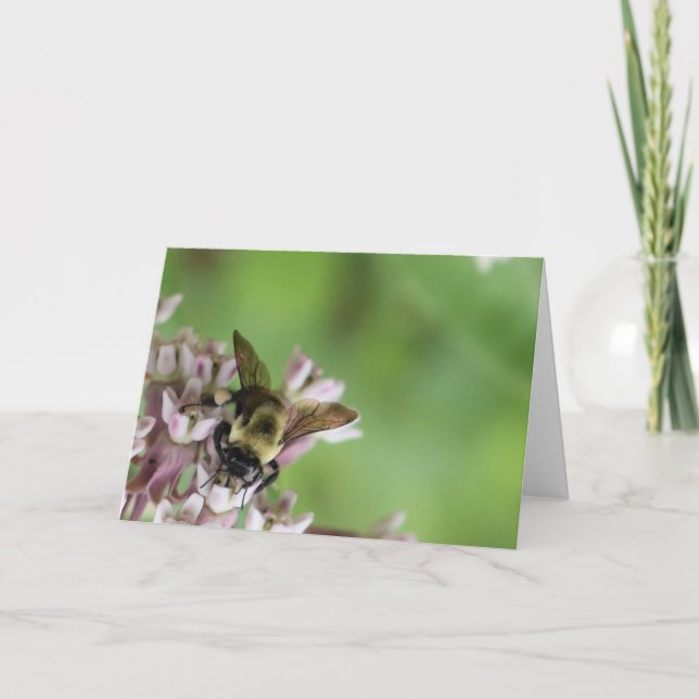 Tarjeta Tierra Verde (Anverso)