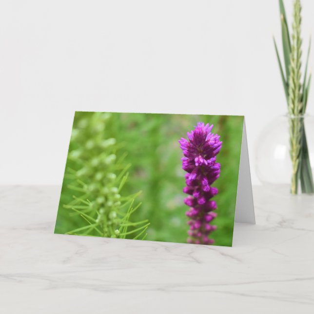 Tarjeta Tierra Verde (Anverso)