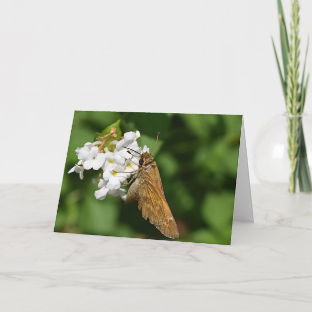 Tarjeta Tierra Verde (Anverso)