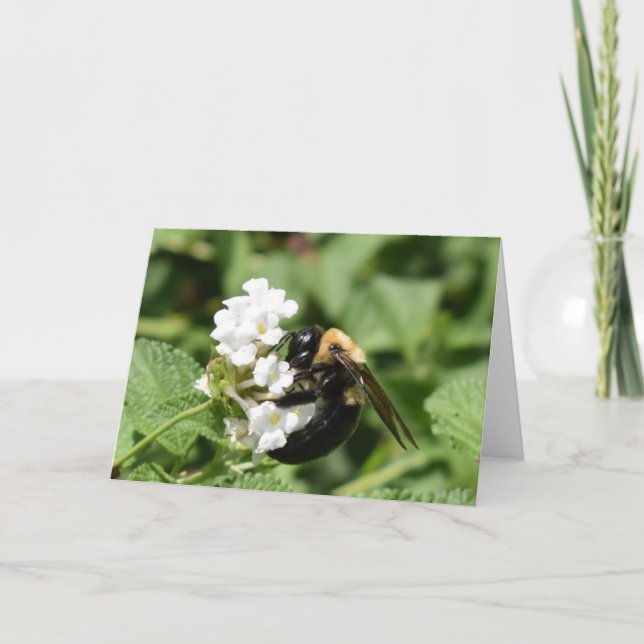 Tarjeta Tierra Verde (Anverso)