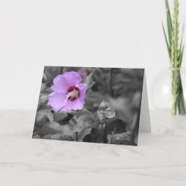 Tarjeta Tierra Verde