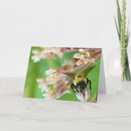 Tarjeta Tierra Verde