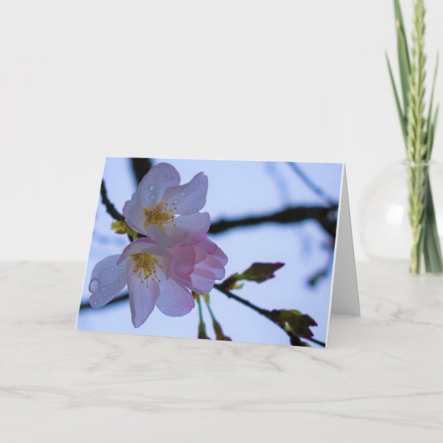 Tarjeta Tierra Verde (Anverso)