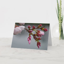 Tarjeta Tierra Verde