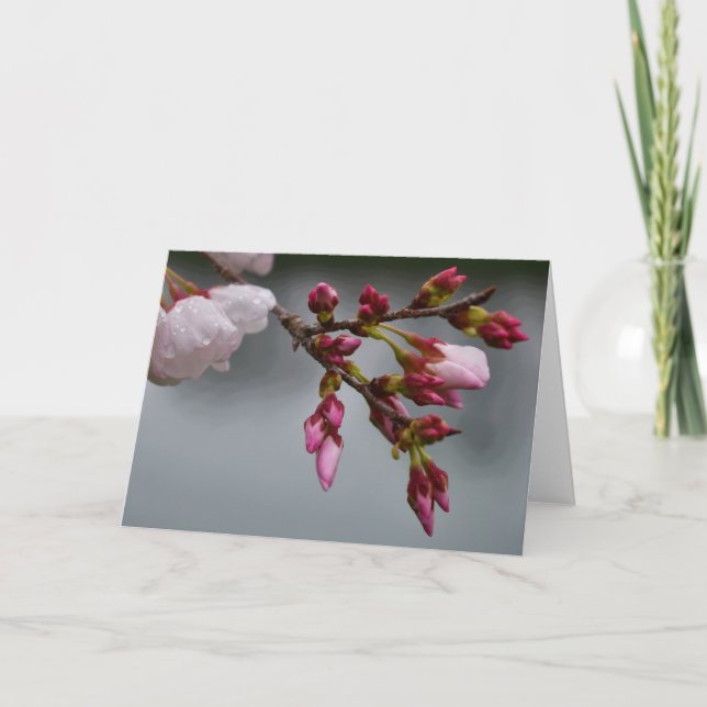 Tarjeta Tierra Verde (Anverso)