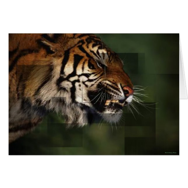 Tarjeta Tiger (Anverso (Horizontal))