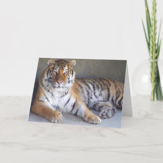 Tarjeta Tiger