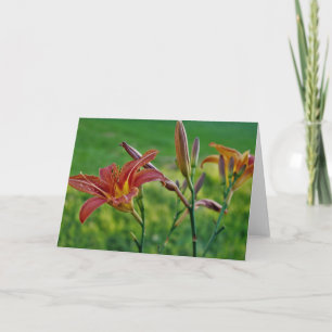 Tarjeta Tiger Lilies
